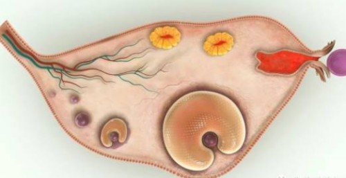 新生儿喝奶粉会上火？经专家证实并没有科学依据