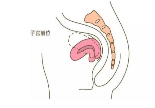 厦门助孕代怀生子机构：﻿母乳和奶粉可以混合喂养，六个月以内宝博鳌更推荐母乳喂养