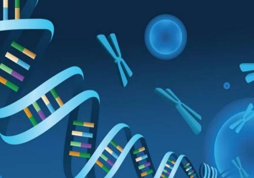 卵泡长得太快会不会是空的？卵泡生长速度与排卵时间关系密切